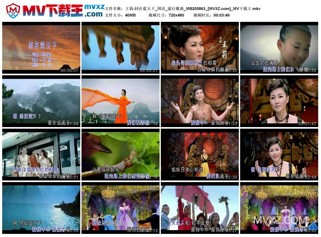 王莉-同在蓝天下_国语_流行歌曲_MB205863